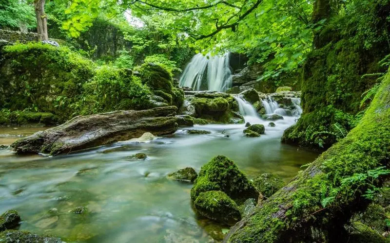 高端智能化